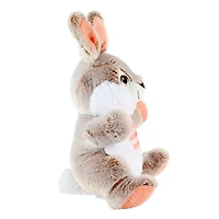 Way to Celebrate Easter Chubby Cheeks Bunny Plush Toy, Tan