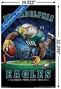 NFL Philadelphia Eagles - End Zone 17 Wall Poster