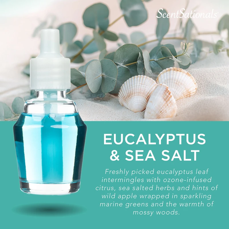 ScentSationals d'huile ScentCharm - Eucalyptus Sea Salt 0.8 Fl oz, 24 mL Recharge