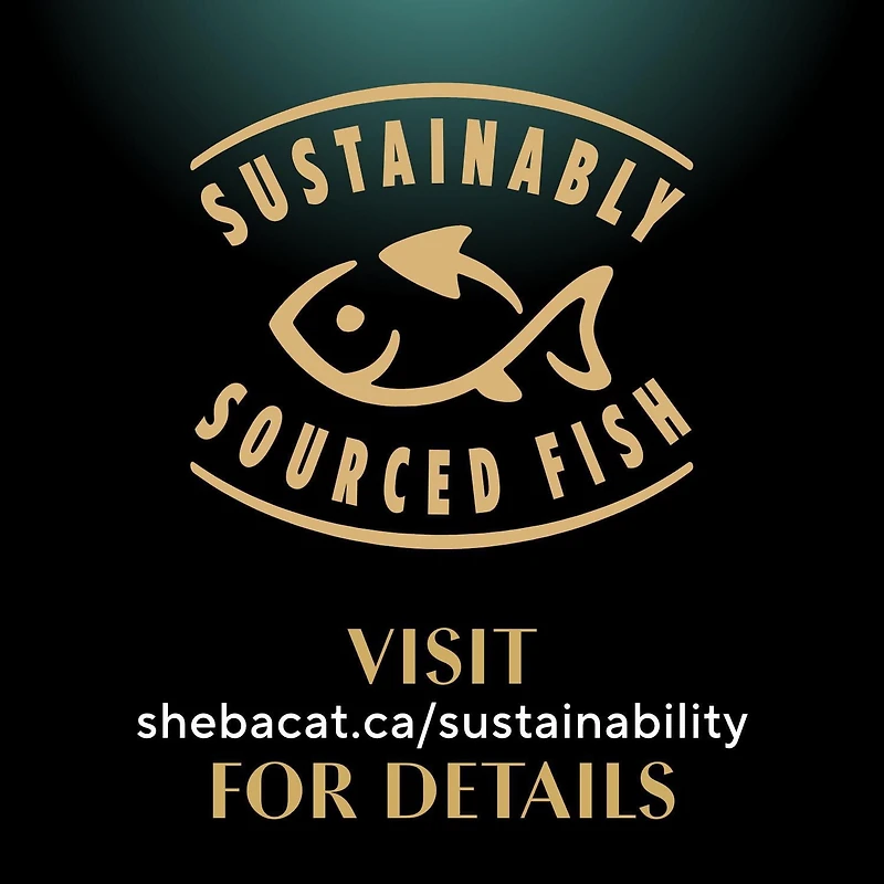 Nourriture humide pour chats adultes SHEBA GRAVY INDULGENCE PERFECT PORTIONS en format variété, repas au poulet, repas au bœuf et repas au saumon dans une généreuse sauce NB-24M