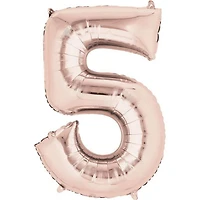 SUPERSHAPE 5 ROSEG