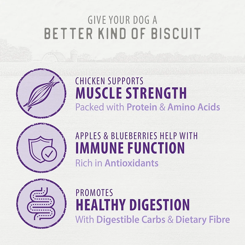 Biscuits croquants Caledon Farms - Friandises pour chiens au poulet, aux pommes et aux myrtilles, 553 grammes CALEDON FARMS BISCUIT CROQUANTS PL