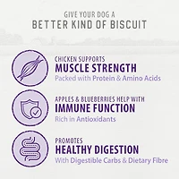 Biscuits croquants Caledon Farms - Friandises pour chiens au poulet, aux pommes et aux myrtilles, 553 grammes CALEDON FARMS BISCUIT CROQUANTS PL