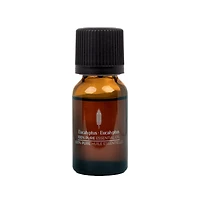 ScentSationals 100% Essential Oil - Eucalyptus, 15 mL (0.5 fl oz)