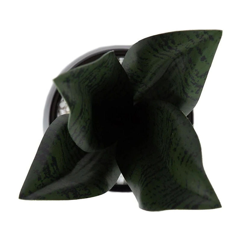 Plante serpent Kotera en pot ceramique