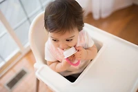 Dr. Brown's Fresh Firsts Silicone Feeder 2 pack