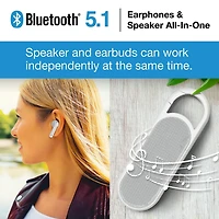 Acoustic Research All-in-1 Duo Wireless Speaker / TWS Earbuds & Charging Case