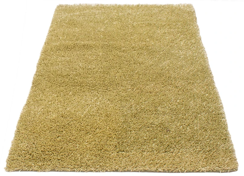 ECARPETGALLERY Metro Plush Light Green Shag 5'0" x 8'0"