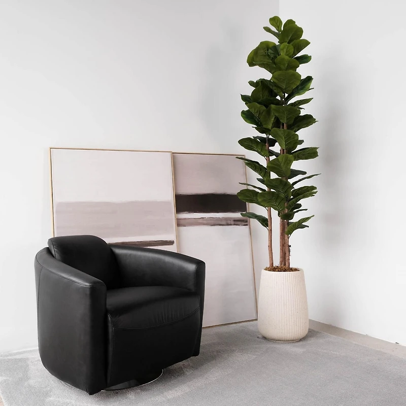 Potted Fiddle Leaf Fig Tree 4 Stem