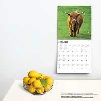 BrownTrout Cows 2024 12x24 Inch Square Wall Calendar, 9781975462499