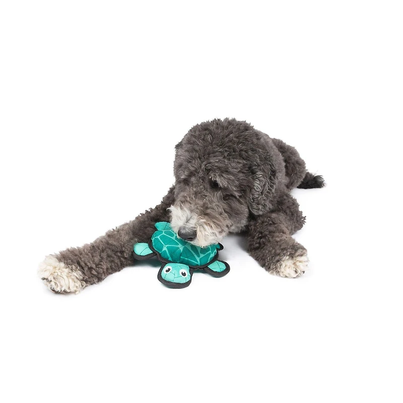 One Paw, Jouet pour Chien Solide comme une Tortue Jouet pour Chien Solide comme une Tortue