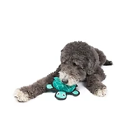One Paw, Jouet pour Chien Solide comme une Tortue Jouet pour Chien Solide comme une Tortue