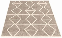 ECARPET Living Room Bedroom Carpet, Geometric Indoor Area Rug Ana Collection