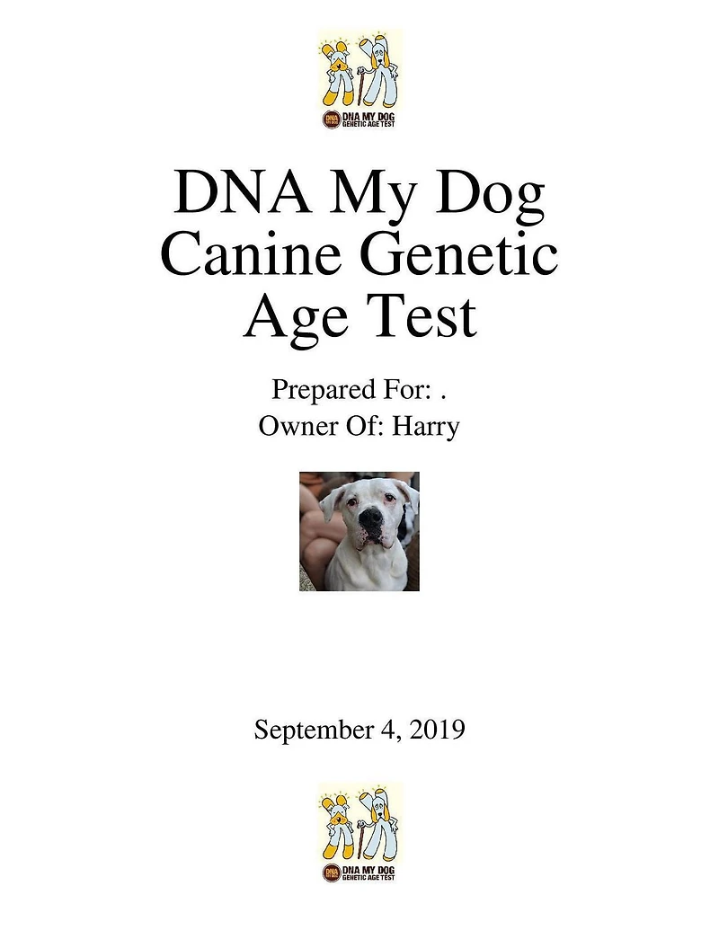 DNA My Dog - Test canin de détermination de race avec test d’âge génétique
