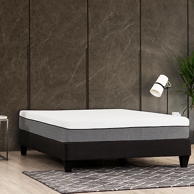 Lunar Rest 10 in. Mem Foam Mattress