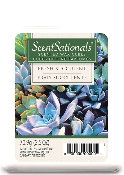 Bloc de cire parfumée ScentSationals - Frais succulente