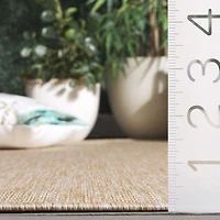 SAFAVIEH Beach House Jacinth Solid Indoor/Outdoor Area Rug