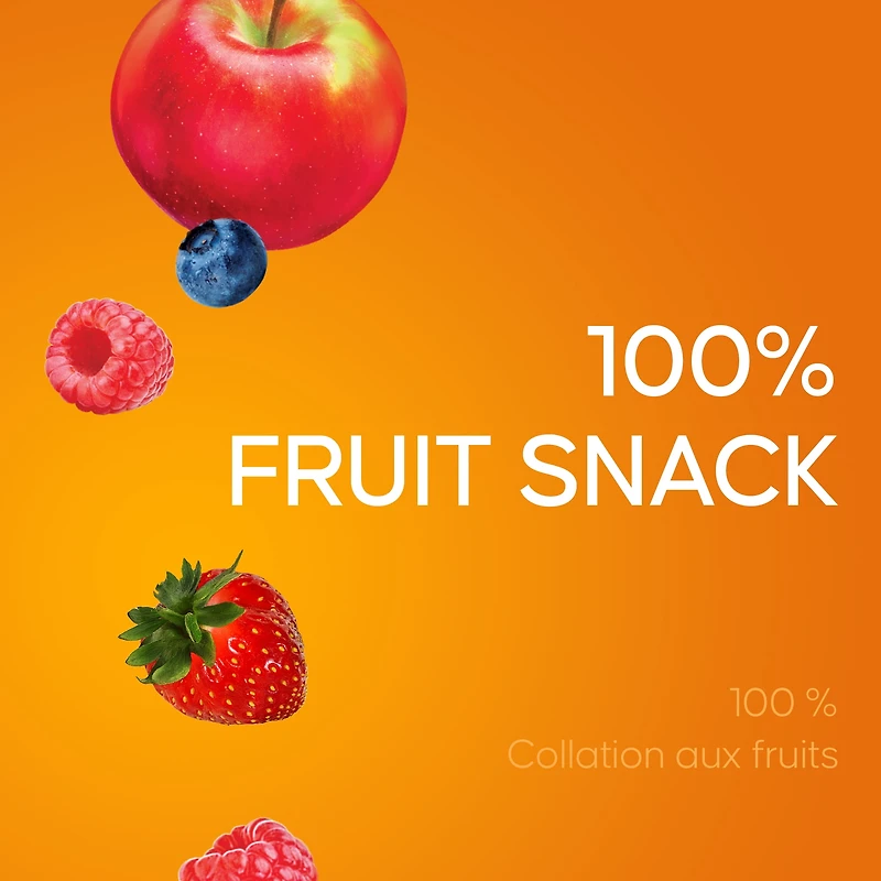 SunRype Fruit to Go 100% Fruit Snack Pack, 24 x 14 g