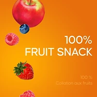 SunRype Fruit to Go 100% Fruit Snack Pack, 24 x 14 g