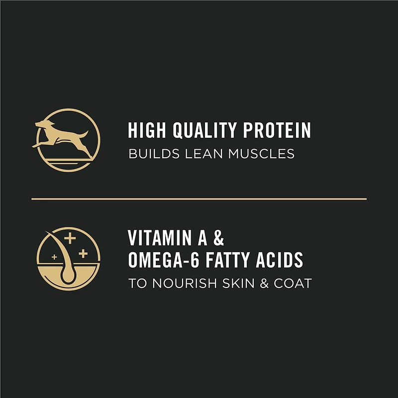 Purina Pro Plan Development Chicken & Rice Formula, Dry Puppy Food