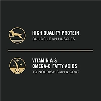 Purina Pro Plan Development Chicken & Rice Formula, Dry Puppy Food