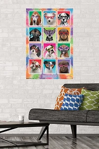 Keith Kimberlin - Puppies - Sunglasses Wall Poster, 22.375" x 34"