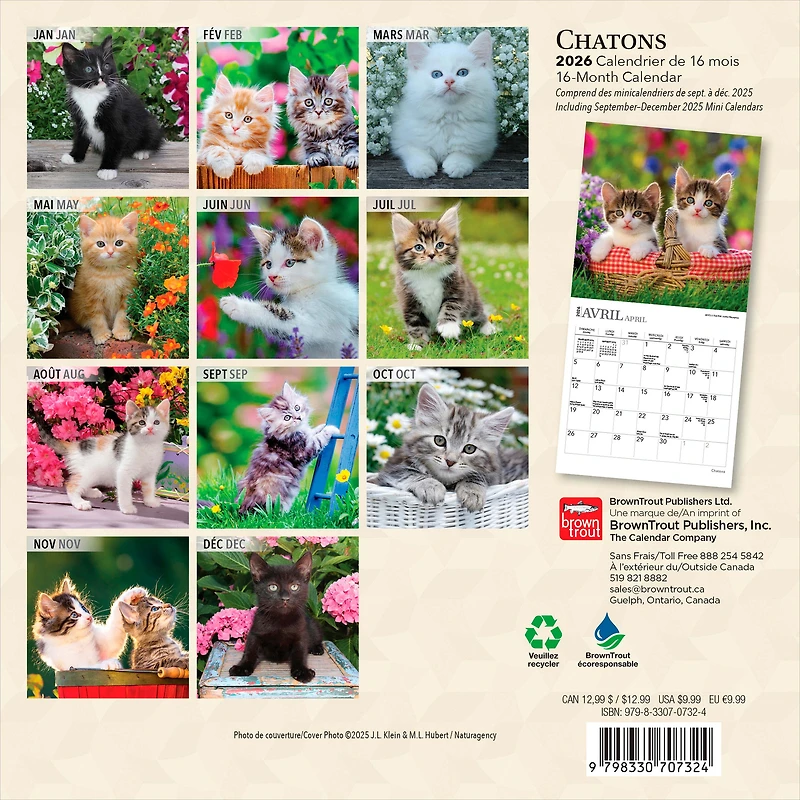 Chatons 2026 Mini 7x7 FRENCH BTCA