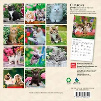 Chatons 2026 Mini 7x7 FRENCH BTCA