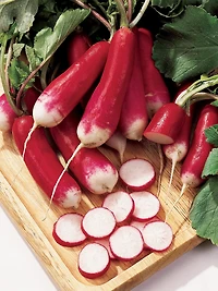 Burpee French Dressing Radish, Plant Seeds for Home Garden
