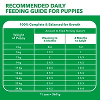 Iams Proactive Health Puppy Wet Dog Food Classic Ground with Chicken & Rice, 369g