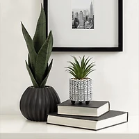 hometrends Gwinnett Faux Succulent in Chevron Pot