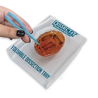 Trousses de dissection Dissect It – Série Découverte - Hibou