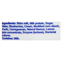 Yogourt à saveur de bleuets VelouFruits d'AstroMD