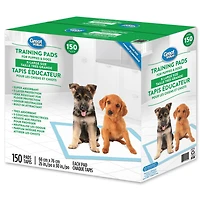 Great Value Tapis éducateur pour chiots XL 150 Tapis 26 x 30", paq de 150