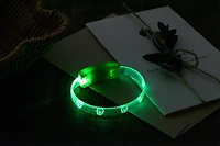 Halloween PL Green Light-up Bracelet,Unisex Child Teen Age Use, Way to Celebrate