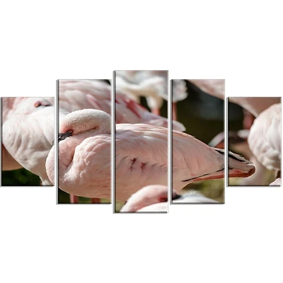 Design Art Pat De Flamants Roses Se Bouchent Art Sur Toile