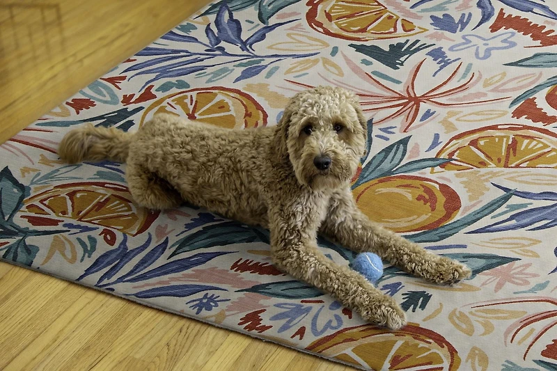 Outdoor Washable Pensacola Ivory & Orange 7' x 9' Area Rug