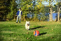 Chuckit! Large Kick Fetch Ball Dog Toy, 8" Large Kick Ball