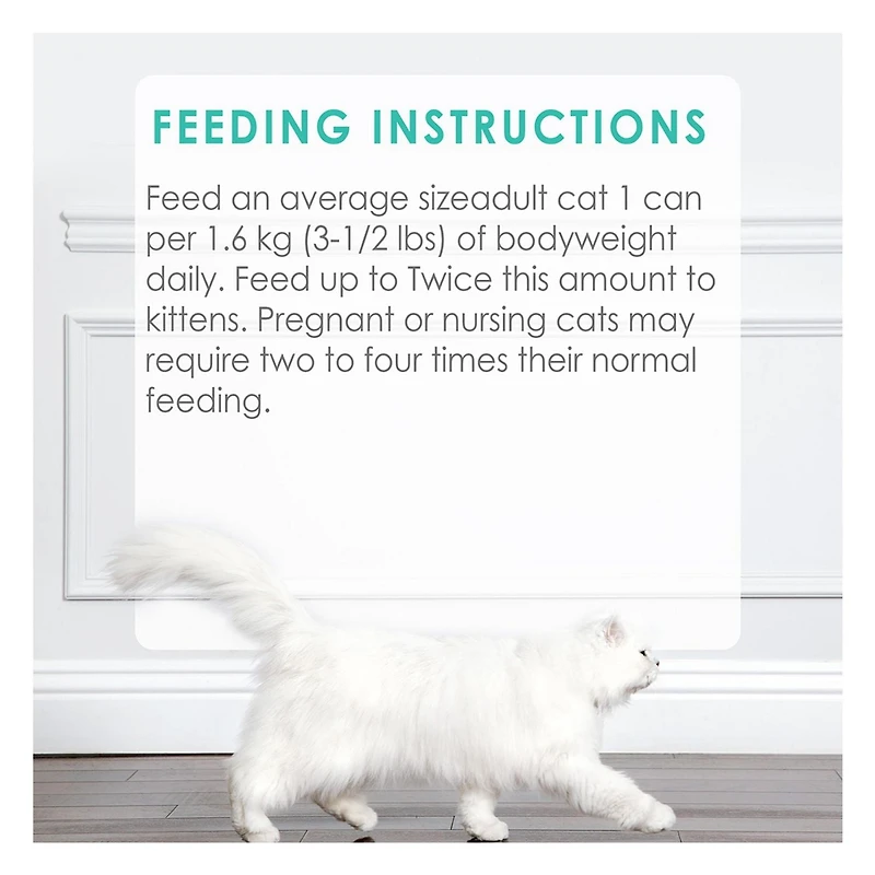 Fancy Feast Pate Festin de Morue de Sole et de Crevettes Nourriture pour Chats 85 g