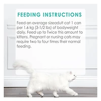 Fancy Feast Pate Festin de Morue de Sole et de Crevettes Nourriture pour Chats 85 g