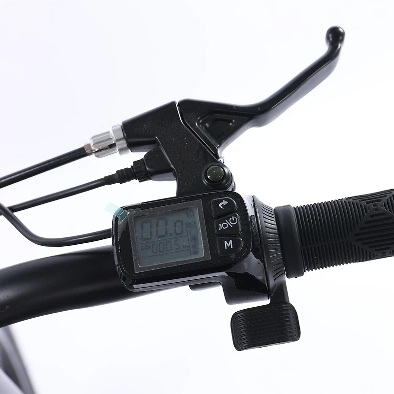GoTyger 500W 2 Seated 20 in. 4.0 Fat Tire eBike