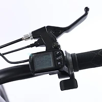 GoTyger 500W 2 Seated 20 in. 4.0 Fat Tire eBike