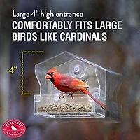 WINDOW BIRD FEEDER, Perky-Pet Window Bird Feeder – 1/2 Lb Capacity