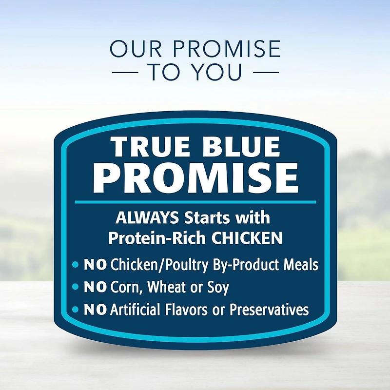 BLUE Healthy Gourmet Paté Indoor Chicken Entrée Wet Cat Food