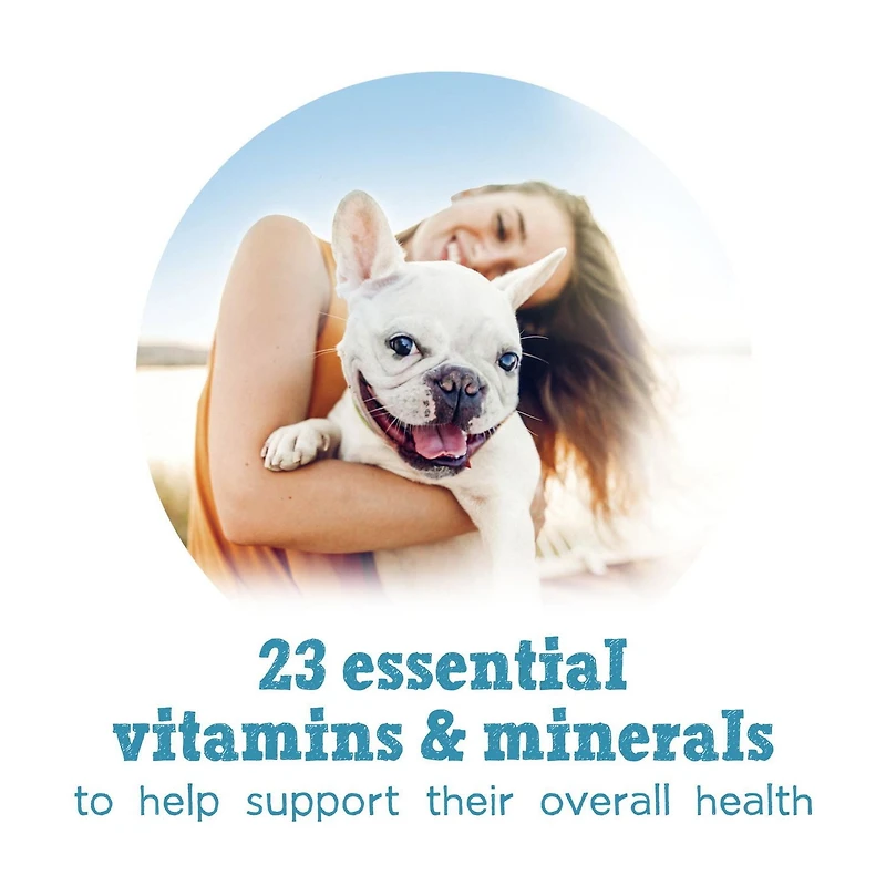 Beneful IncrediBites Chicken & Salmon in Gravy Variety Pack, Wet Dog Food 24 x 85 g, 24 x 85 g