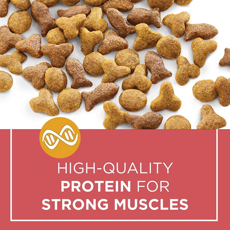 Cat Chow Complète avec Vrai Saumon, Nourriture Sèche pour Chats 1,6-6,4 kg