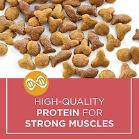 Cat Chow Complète avec Vrai Saumon, Nourriture Sèche pour Chats 1,6-6,4 kg