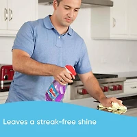 Windex® Multi-surface Cleaner with Lavender Scent, Perfect for Countertops, Bathrooms and More, 765mL, 765ml