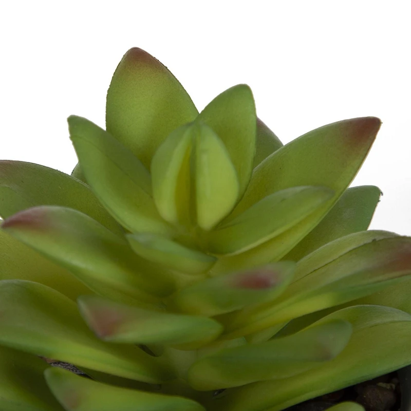 hometrends Kelvin Faux Succulent in Grey Pot