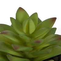 hometrends Kelvin Faux Succulent in Grey Pot